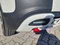 Fiat Panda Panda Cross 1.0 FireFly S&S Hybrid Weiß - thumbnail 15
