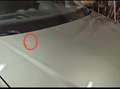 Volkswagen Caddy 2.0 TDI 7 POSTI MOTORE RIGENERATO Verde - thumbnail 8