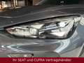 CUPRA Formentor 2.0 TDI 150PS DSG AHK*PANO*SENNH*NAV Grau - thumbnail 24
