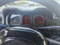 Fiat Panda 1.2 Trussardi s&s 69cv - thumbnail 18