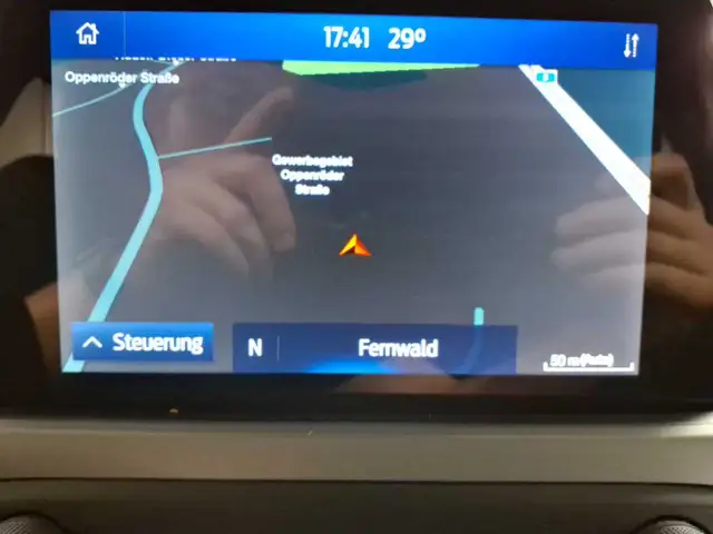 Ford Focus view 12