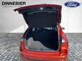 Ford Kuga ST-Line X LED+Navi+Kamera+Winterpaket Orange - thumbnail 8