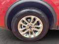 Ford Kuga Plug-In Hybrid Titanium X Rot - thumbnail 5