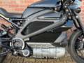 Harley-Davidson LiveWire Tour ONE ELW 136PK TOPSTAAT! BJ 22 - thumbnail 13