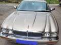 Jaguar XJ6 XJ6 3,6 Aut. Auriu - thumbnail 1