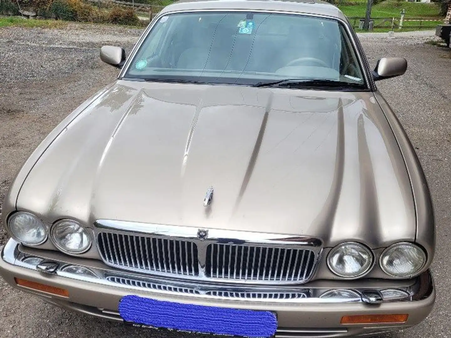 Jaguar XJ6 XJ6 3,6 Aut. Złoty - 1