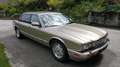 Jaguar XJ6 XJ6 3,6 Aut. Золотий - thumbnail 11