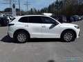 Volkswagen Tiguan 1.5 TSI DSG R-Line BLACK KAM NAVI Blanco - thumbnail 6