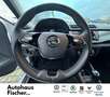 Skoda Fabia Combi 1.0 TSI Ambition Silber - thumbnail 9
