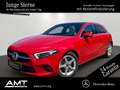 Mercedes-Benz A 220 4M Progressive+Panorama+Kamera+Multibeam Rouge - thumbnail 1
