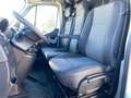 Renault Master L2H2 Isotermico Bianco - thumbnail 4