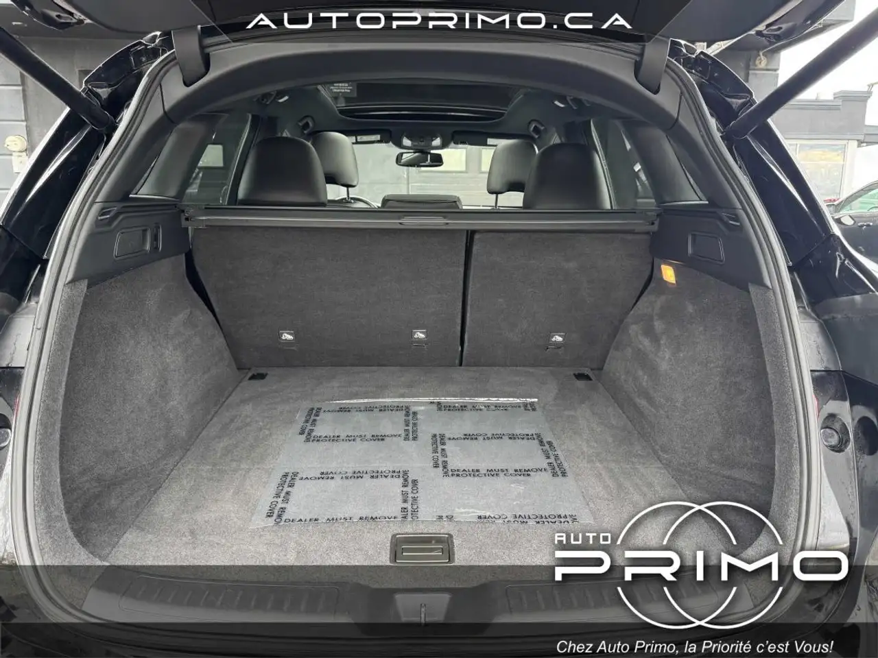 Infiniti QX50 photo Infiniti QX50