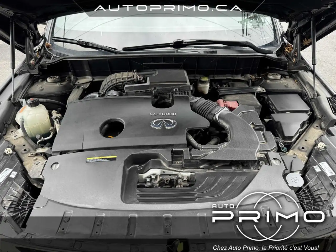 Infiniti QX50 photo Infiniti QX50