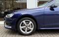 Audi A4 Avant 40 TFSI Advanced Edition |Adap.Cruise|Massag Bleu - thumbnail 7