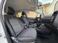 Kia Picanto 1.0I MORE Automatique Navi,Camera Blanc - thumbnail 9