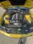 BMW 525 525 IM individual Amarillo - thumbnail 12