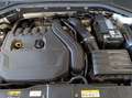 Volkswagen T-Roc 1.5 tsi life Grau - thumbnail 10