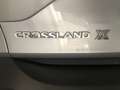 Opel Crossland X 1.5 ECOTEC D 102 CV Start&Stop IVA22% DEDUCIBILE!! Grau - thumbnail 7