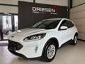 Ford Kuga EcoBoost Titanium    BIJ DRIESEN IN BREE   089/46 Wit - thumbnail 1