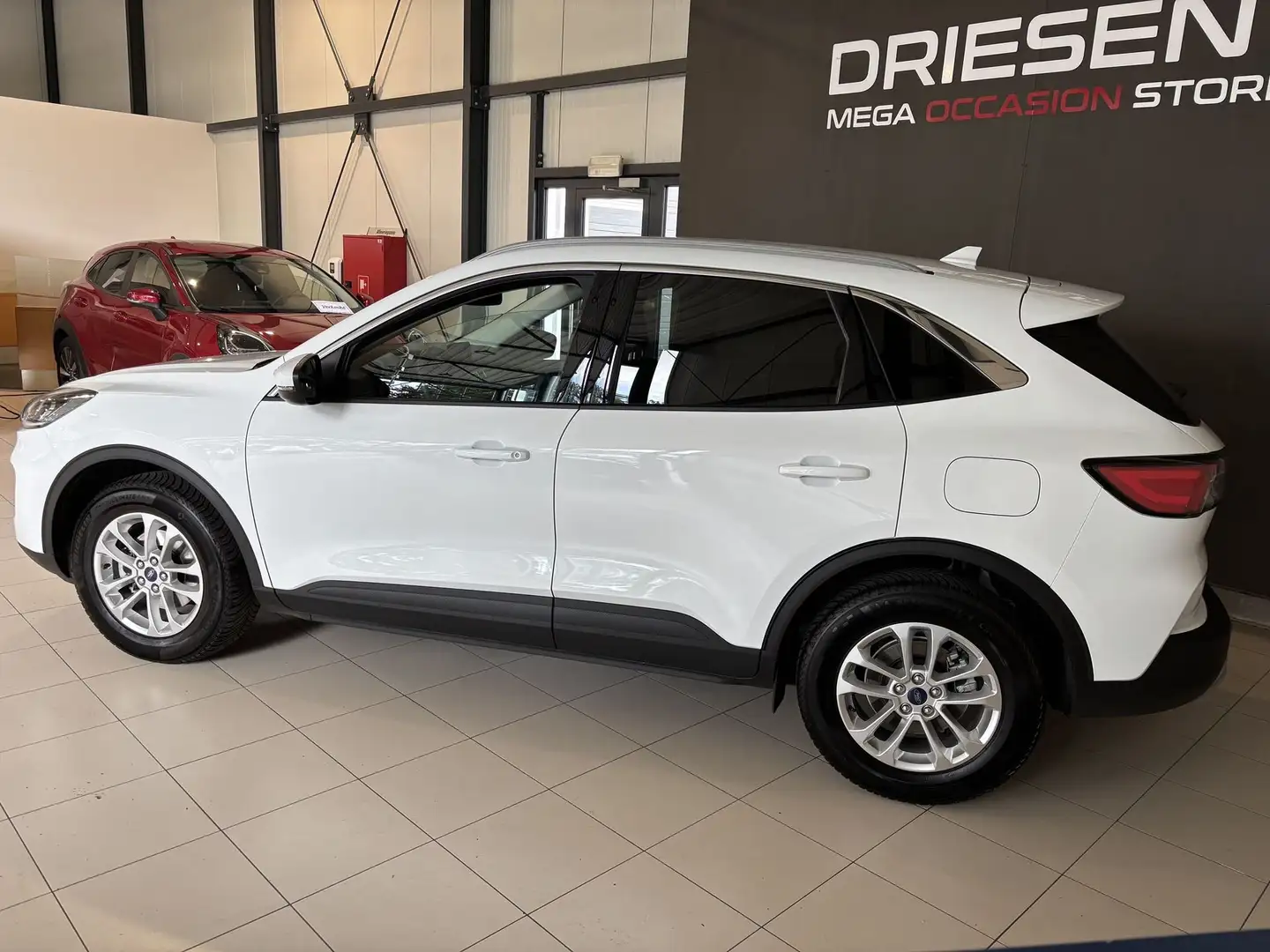Ford Kuga EcoBoost Titanium    BIJ DRIESEN IN BREE   089/46 Wit - 2