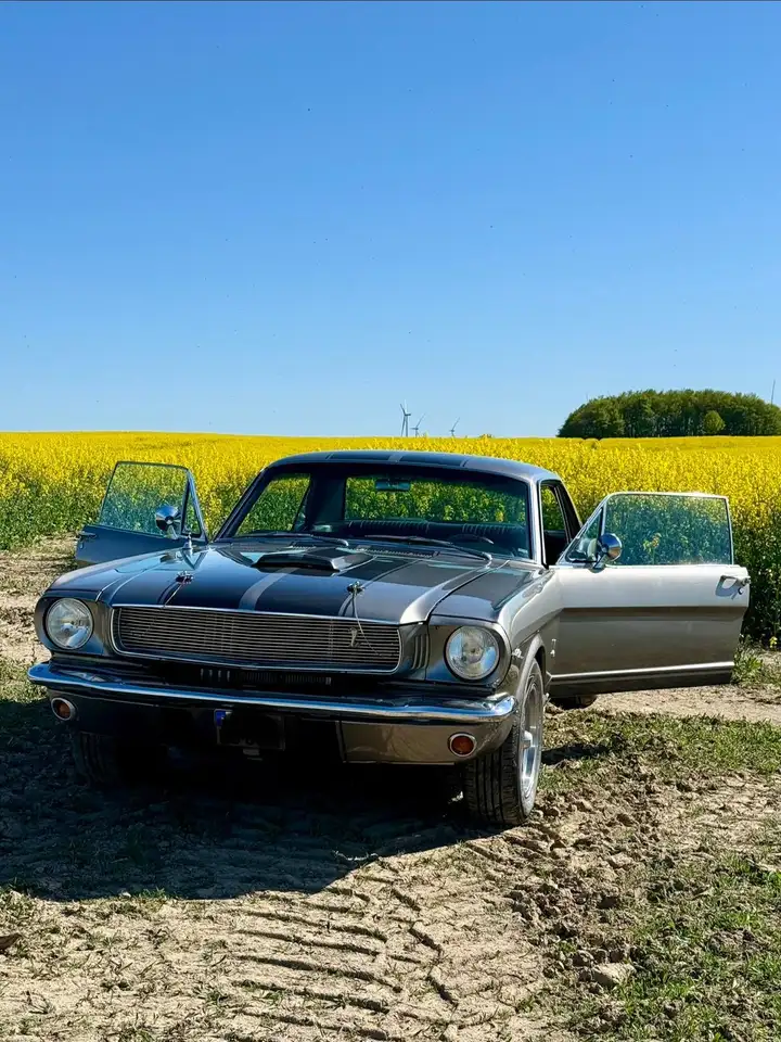 Ford Mustang Coupe, H-Zul., 302 cui, Leistungssteigerung, foto 12