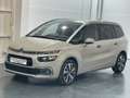 Citroen C4 BlueHDi 88KW (120CV) Live Beige - thumbnail 1