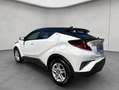 Toyota C-HR Hybrid Flow 1.8 Weiß - thumbnail 3