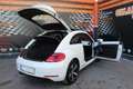 Volkswagen Beetle 1.4 TSI Sport 160 Blanco - thumbnail 13