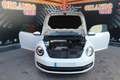 Volkswagen Beetle 1.4 TSI Sport 160 White - thumbnail 7