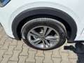 Volkswagen T-Cross R-Line 1.0 TSI , ACC, Rear View, Licht + Weiß - thumbnail 12