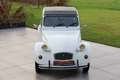 Citroen 2CV 2CV6 Special - Exceptional original Weiß - thumbnail 31
