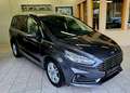 Ford Galaxy Titanium *7 Sitze *Navi *Wint.Pak. *Keyless *Temp. Grau - thumbnail 1