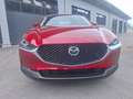 Mazda CX-30 G140 PRIMELINE Rot - thumbnail 6