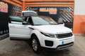 Land Rover Range Rover Evoque 2.0TD4 SE 4WD 150 Bianco - thumbnail 6