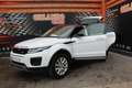 Land Rover Range Rover Evoque 2.0TD4 SE 4WD 150 Bianco - thumbnail 5