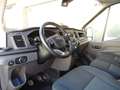 Ford Transit Van L2 H3 Hybride 130 ch Blanc - thumbnail 12