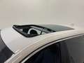 BMW 525 d xDrive 2.0d Touring aut. * TETTO APRI.* GANCIO * Bianco - thumbnail 12