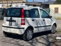 Fiat Panda 1.2 Natural Power - thumbnail 2