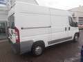 Fiat Ducato 35 L2H2 130 + Klima Weiß - thumbnail 6