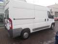 Fiat Ducato 35 L2H2 130 + Klima Weiß - thumbnail 5