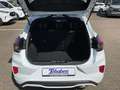 Ford Puma ST-Line 1.0 Mhd Klima Navi LED Weiß - thumbnail 21