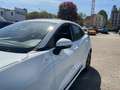 Ford Puma ST-Line 1.0 Mhd Klima Navi LED Weiß - thumbnail 20
