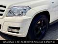 Mercedes-Benz GLK 250 CDI 4Matic-PANO-NAVI-XENON-SHZG-MFL-AHK- Blanc - thumbnail 2