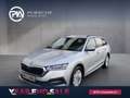 Skoda Octavia 4x4 Ambition TDI DSG Silber - thumbnail 1