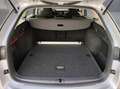 Skoda Octavia 4x4 Ambition TDI DSG Silber - thumbnail 14
