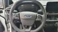 Ford Fiesta 1.1 75 CV GPL 5 porte Business Gris - thumbnail 9