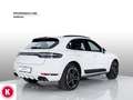 Porsche Macan 2.0 Sport Design Weiß - thumbnail 4