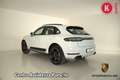 Porsche Macan 2.0 Sport Design Bianco - thumbnail 5