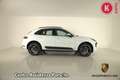 Porsche Macan 2.0 Sport Design Bianco - thumbnail 8