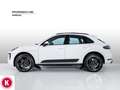 Porsche Macan 2.0 Sport Design Weiß - thumbnail 2